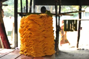 tangail rural photography bishwajit sarker (11)