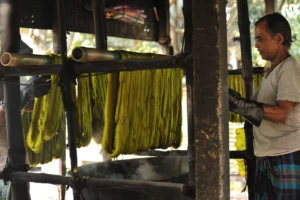 tangail rural photography bishwajit sarker (12)