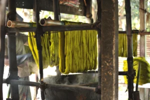 tangail rural photography bishwajit sarker (13)