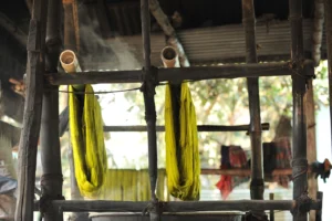 tangail rural photography bishwajit sarker (15)