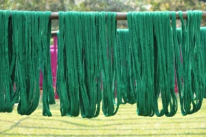 tangail rural photography bishwajit sarker (18)