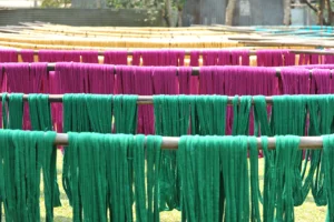 tangail rural photography bishwajit sarker (19)