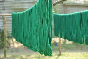 tangail rural photography bishwajit sarker (20)