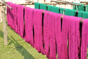 tangail rural photography bishwajit sarker (21)