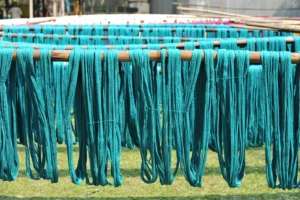 tangail rural photography bishwajit sarker (22)