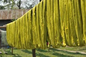 tangail rural photography bishwajit sarker (23)