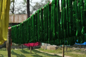 tangail rural photography bishwajit sarker (24)