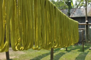 tangail rural photography bishwajit sarker (25)