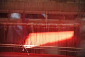 tangail rural photography bishwajit sarker (26)