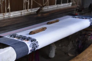 tangail rural photography bishwajit sarker (4)