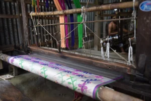 tangail rural photography bishwajit sarker (8)