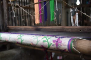 tangail rural photography bishwajit sarker (9)