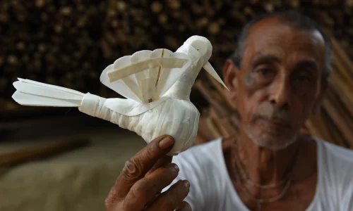 rural life-bishwajit photography-magura